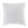 Five Queens Court Sheldon 20" Square Decorative Throw Pillow -Five Queens Court Shop 5018448
